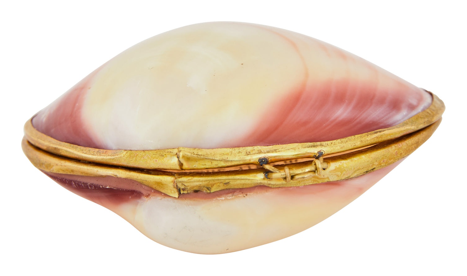 Codaika Shell Stash Box