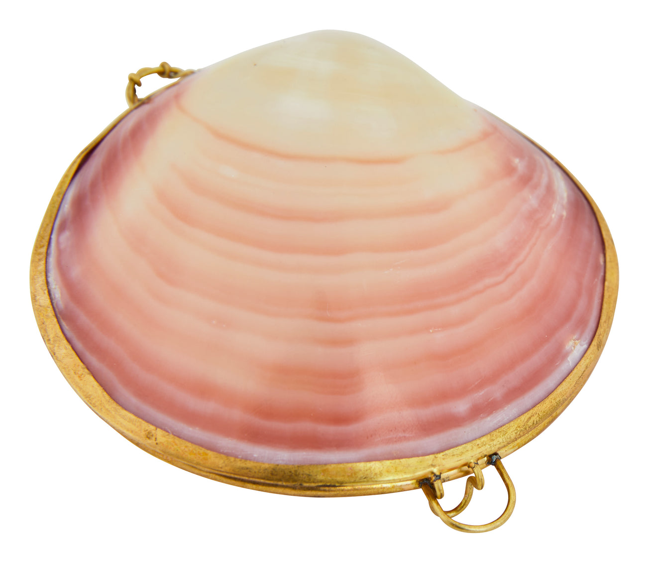 Codaika Shell Stash Box