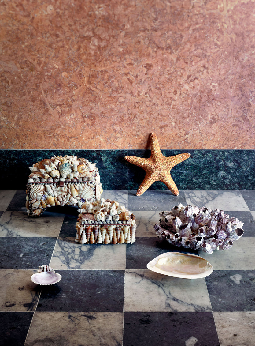Pecten Noblis Plate