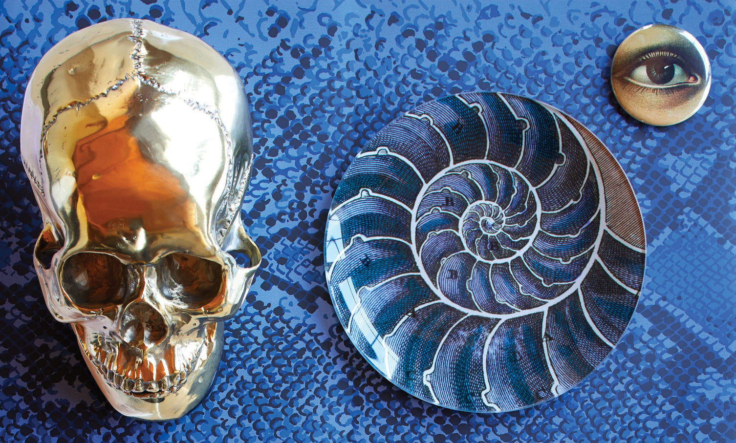 Blue Nautilus Plate