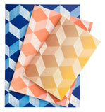 Graphic Notebooks